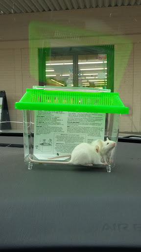 Pet Store «Petsway», reviews and photos, 1717 W Kearney St, Springfield, MO 65803, USA