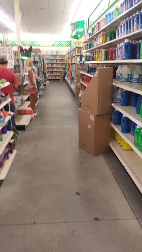 Dollar Store «Dollar Tree», reviews and photos, 13120 US-301 #133, Riverview, FL 33578, USA