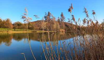 Etang de Dizimieu à Dizimieu