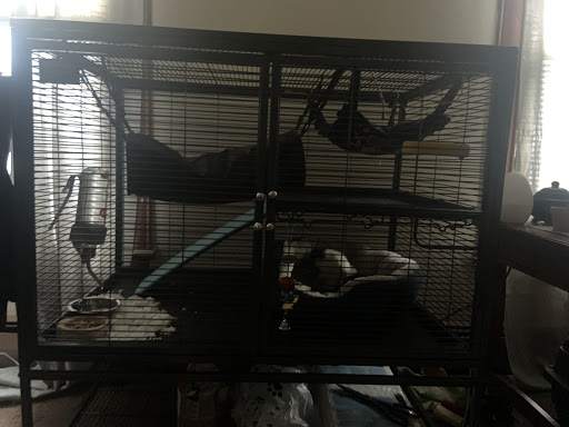 Pet Supply Store «Pet Finatics», reviews and photos, 3150 Navarre Ave, Oregon, OH 43616, USA