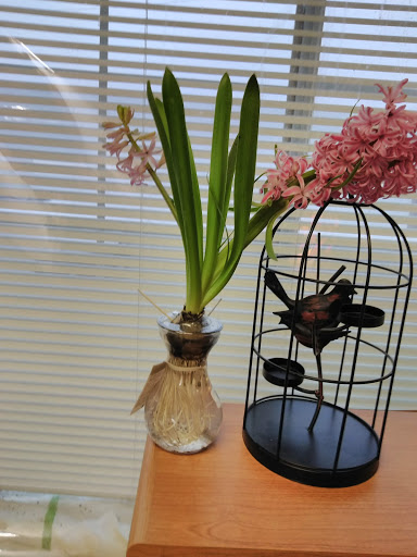 Supermarket «ALDI», reviews and photos, 2967 E Big Beaver Rd, Troy, MI 48083, USA