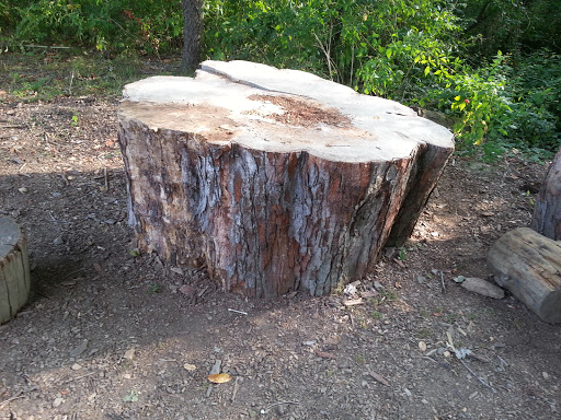 Botanical Garden «Beech Creek Botanical Garden & Nature Preserve», reviews and photos, 11929 Beech St NE, Alliance, OH 44601, USA