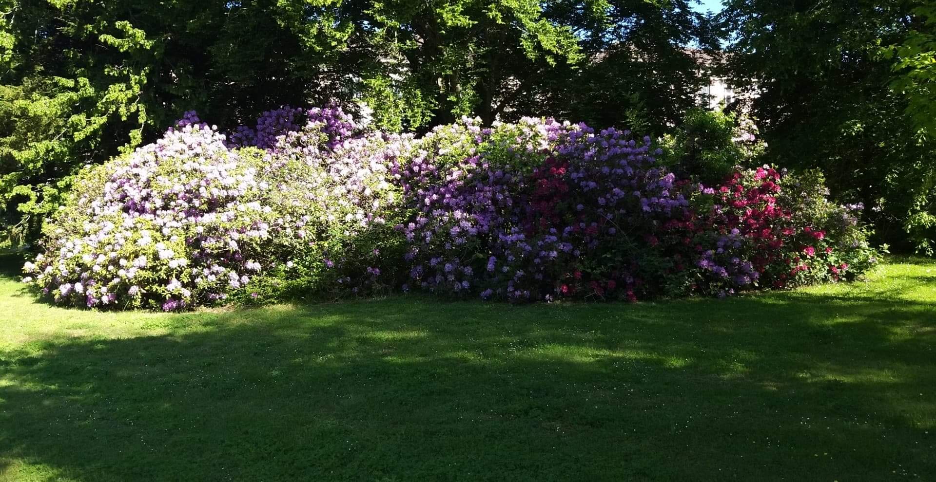 Photo n° 6 de l'avis de Fabien.e fait le 13/06/2021 à 14:02