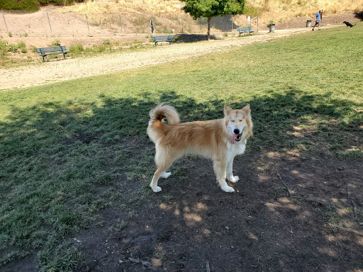 Dog Park «Marco Dog Park», reviews and photos, 1800 Sierra Gardens Dr, Roseville, CA 95661, USA