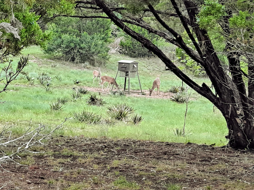 Dana Peak Park