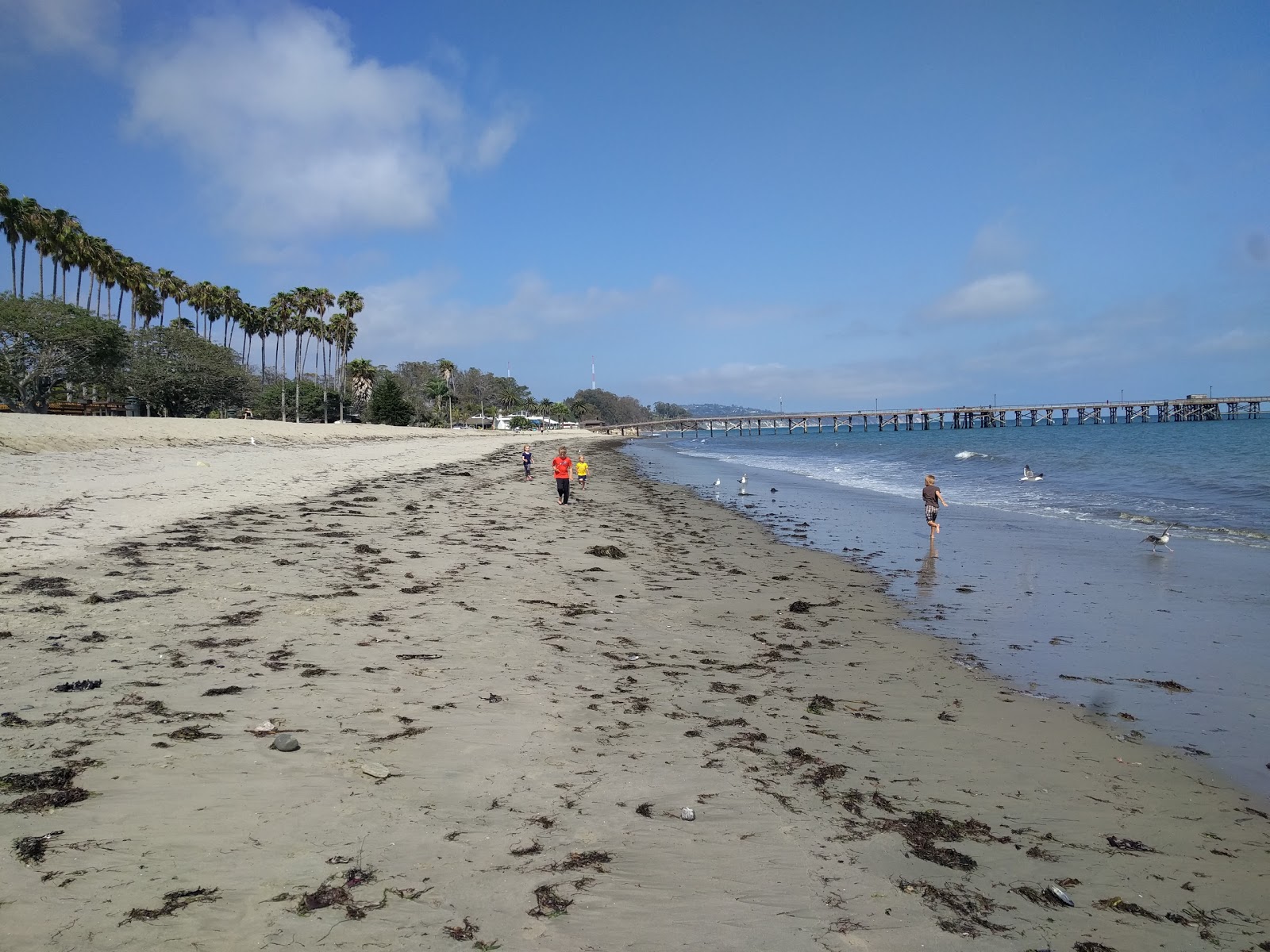 Goleta Beach的照片 带有碧绿色水表面