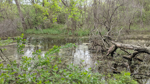 Nature Preserve «Elm Fork Nature Preserve Trail Entrance», reviews and photos, 2335 Sandy Lake Rd, Carrollton, TX 75006, USA