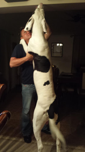 Veterinarian «PetCoral Resort and Veterinary», reviews and photos, 924 Del Prado Blvd, Cape Coral, FL 33990, USA