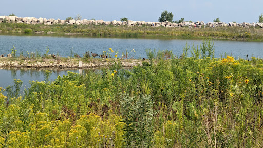 Northerly Island Nature Play Space