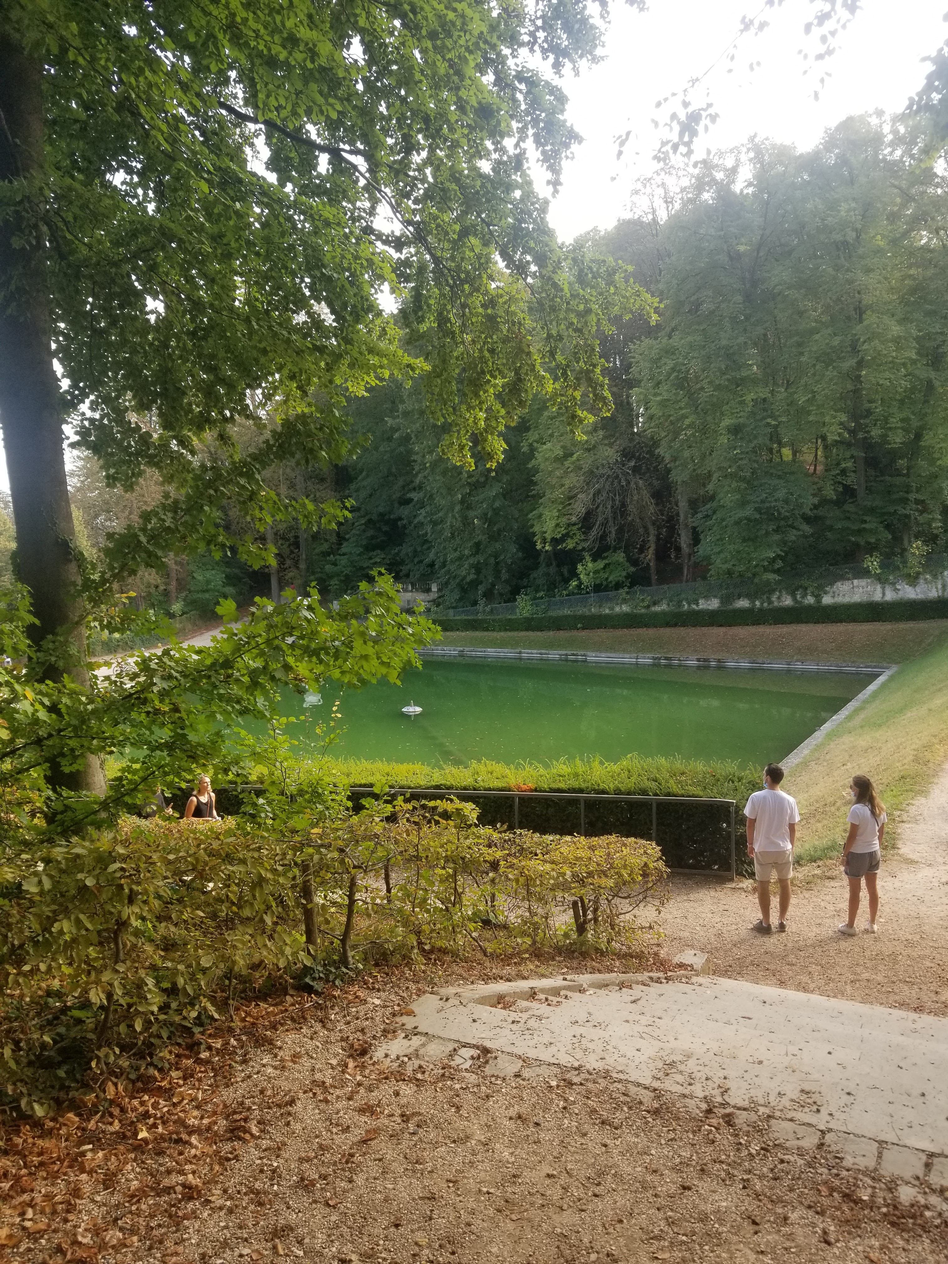 Photo n° 25 de l'avis de dary. fait le 20/09/2020 à 15:00