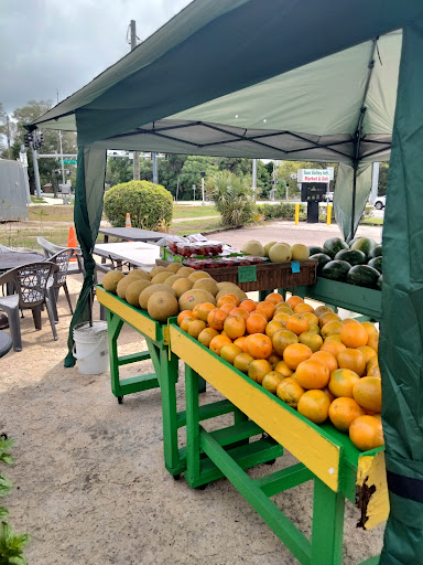 Produce Market «Sun Valley Farms Market», reviews and photos, 2380 NE Coachman Rd, Clearwater, FL 33765, USA