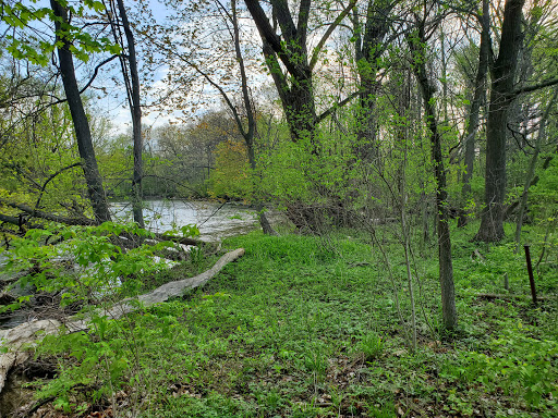 Nature Preserve «DeVries Nature Conservancy», reviews and photos, 2635 N Michigan 52, Owosso, MI 48867, USA