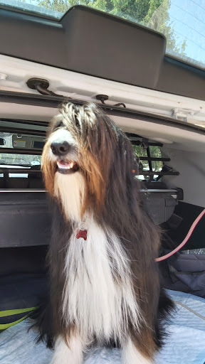 El molino de Colmenar Viejo - Colmenar Viejo