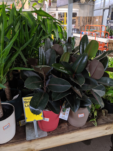 Home Improvement Store «The Home Depot», reviews and photos, 1500 Rome Hwy, Cedartown, GA 30125, USA