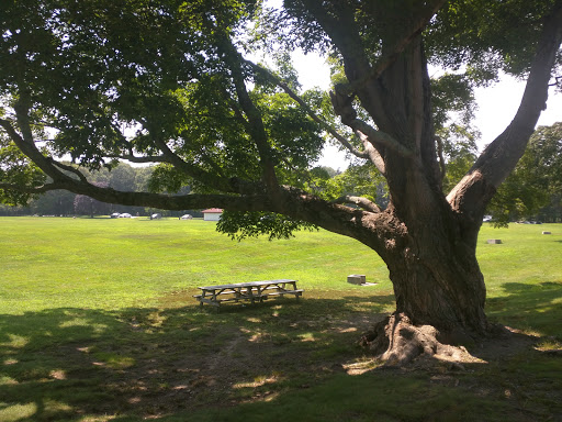 Golf Course «Goddard State Park Golf Course», reviews and photos, 1095 Ives Rd, East Greenwich, RI 02818, USA