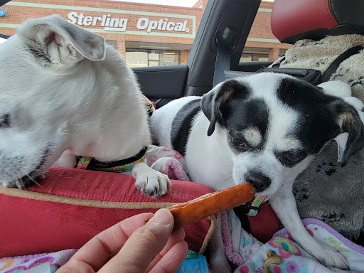 Pet Supply Store «Concord Pet Foods & Supplies», reviews and photos, 19287 Miller Rd, Rehoboth Beach, DE 19971, USA