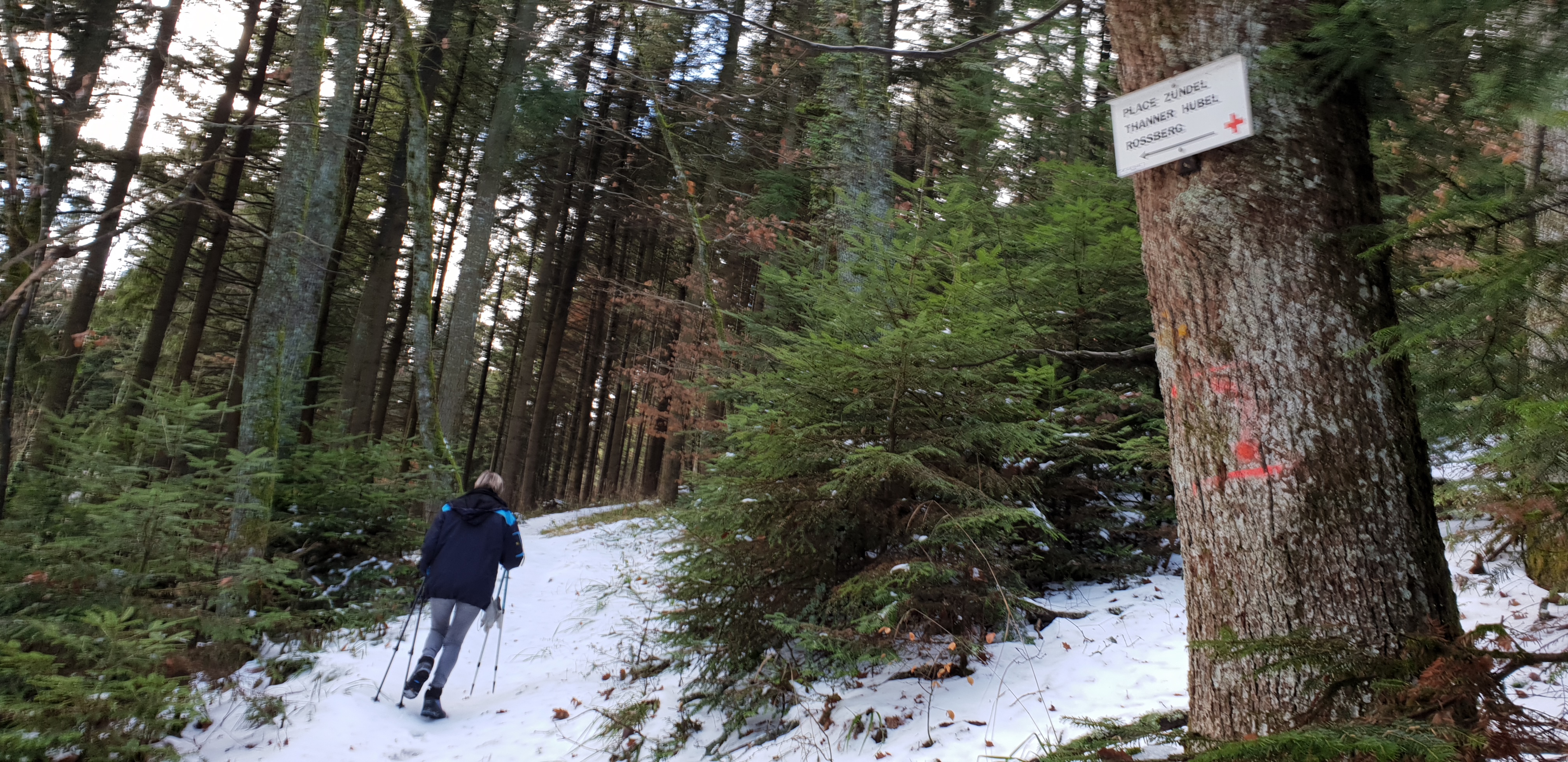 Photo n° 2 de l'avis de Henri.o fait le 05/03/2019 à 07:50