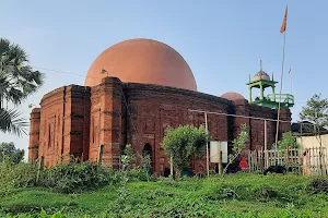 Uchail Sankarpasha Shahi Jame Masjid image