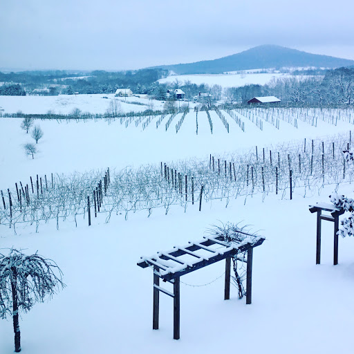 Winery «Third Hill Winery @ DeMello Vineyards», reviews and photos, 2110 Quicksburg Rd, Quicksburg, VA 22847, USA