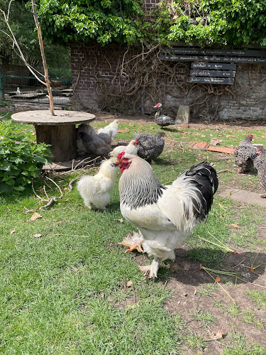 Beoordelingen van Hoeve Vercamer in Moeskroen - Reisbureau