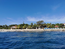 Zamboanguita Beach'in fotoğrafı geniş bir kıyı şeridi ile birlikte