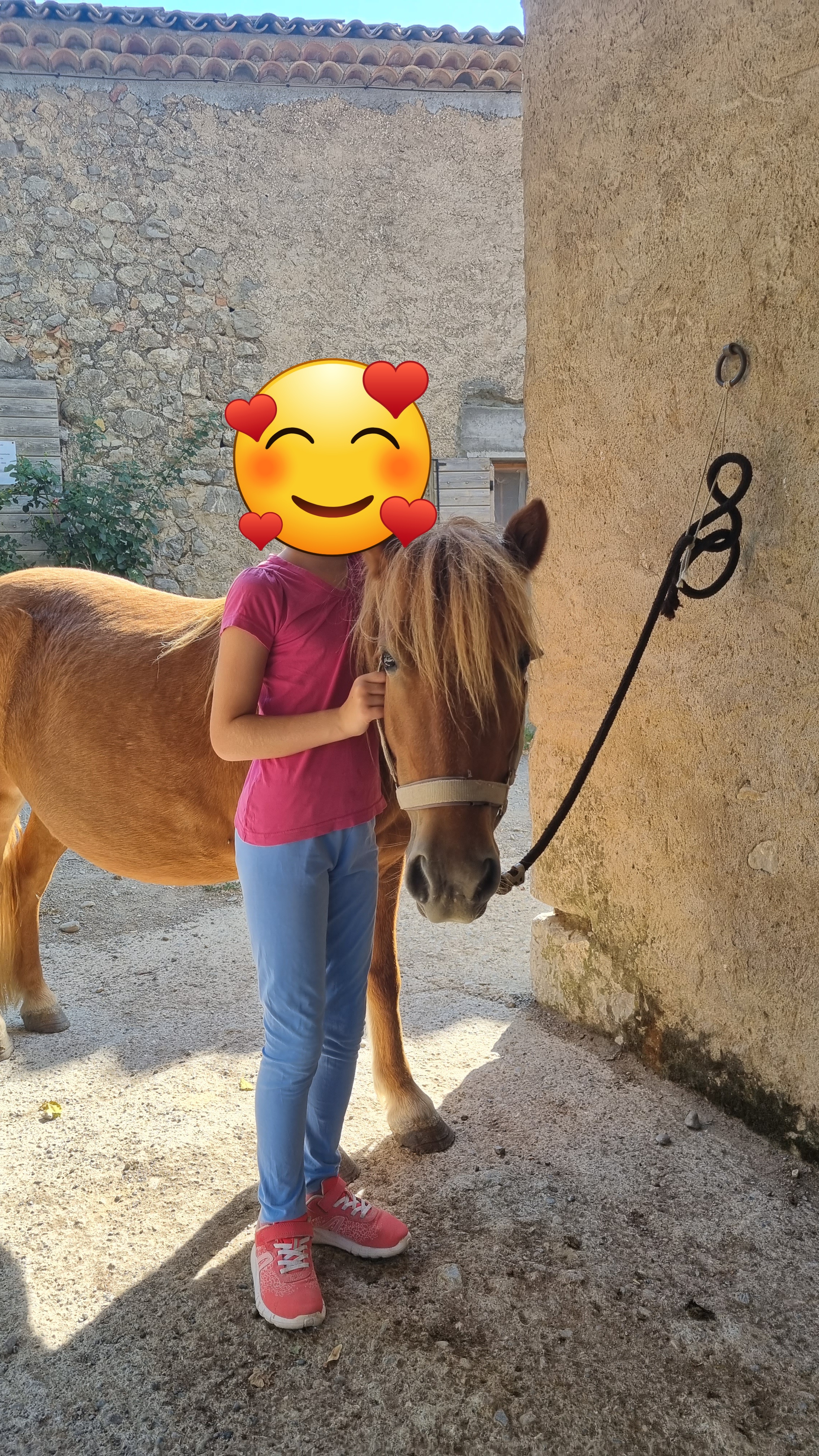 Photo n° 2 de l'avis de Flex. fait le 25/08/2023 à 17:49