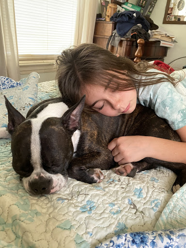 Pet Store «Kamms Plaza Pet & Supply», reviews and photos, 17454 Lorain Ave, Cleveland, OH 44111, USA