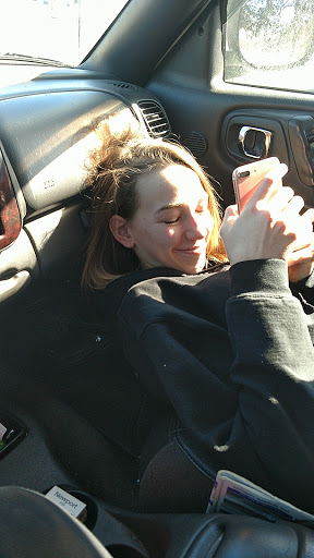 Pet Supply Store «CountryMax - Brockport», reviews and photos, 4875 Lake Rd N, Brockport, NY 14420, USA