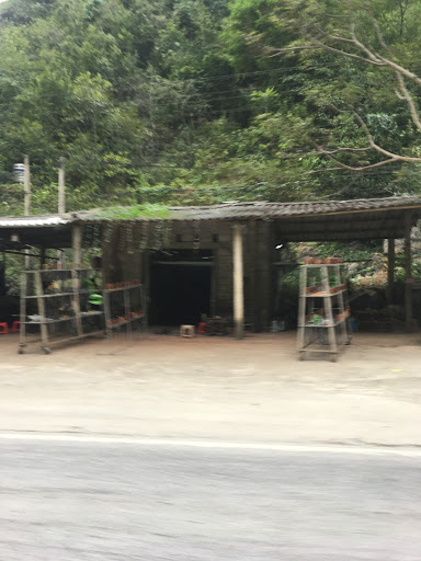 Dao Phúc Sen HD