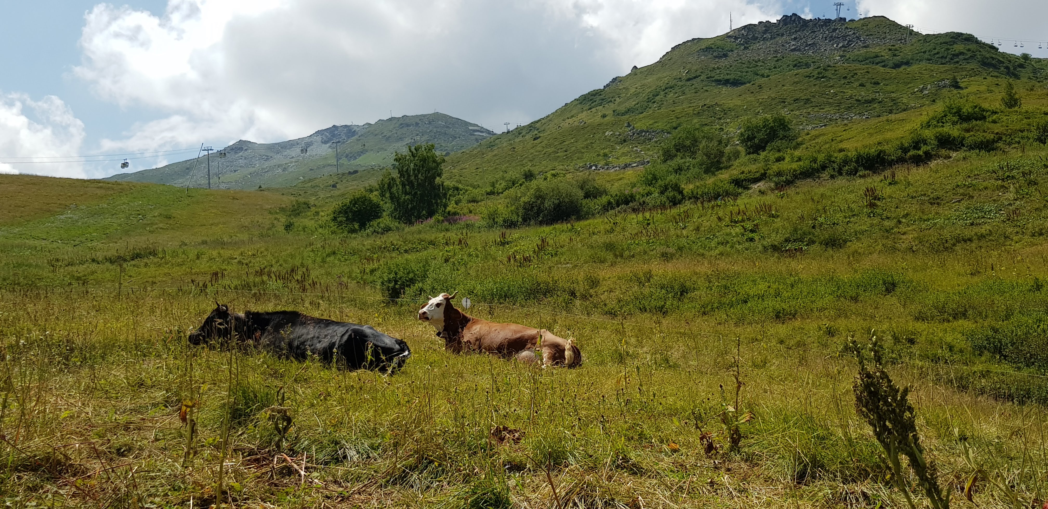 Photo n° 1 de l'avis de Gwenns. fait le 15/08/2018 à 10:35