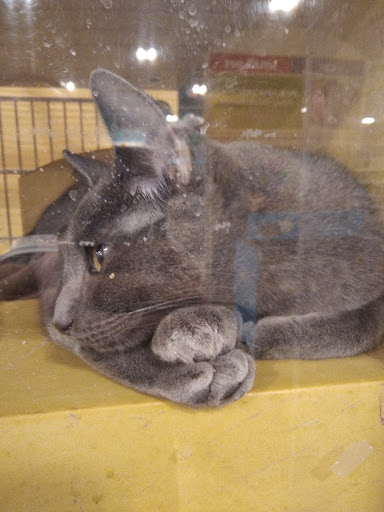 Pet Supply Store «PetSmart», reviews and photos, 1225 Industrial Rd, San Carlos, CA 94070, USA