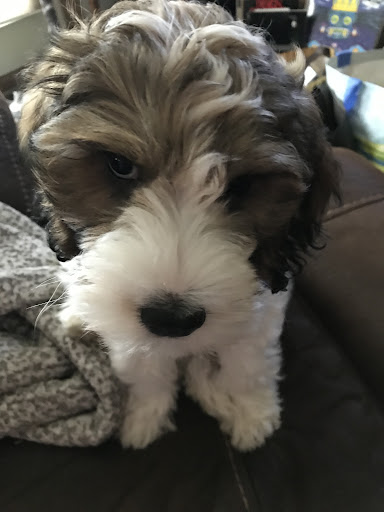 Pet Supply Store «Chuck & Don’s Pet Food & Supplies», reviews and photos, 8115 Wedgewood Ln N #1, Maple Grove, MN 55369, USA