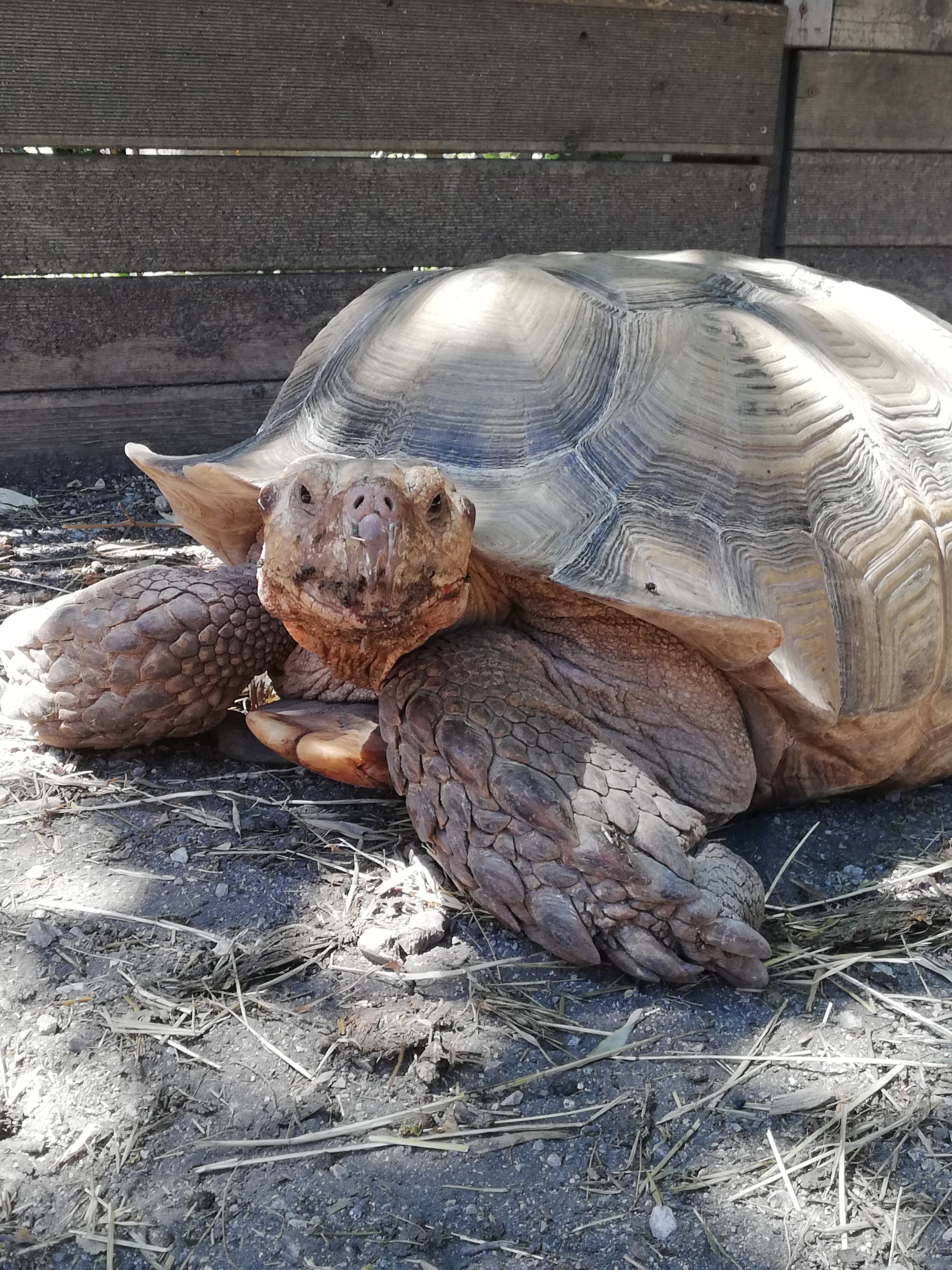 Photo n° 2 de l'avis de Jo.e fait le 05/07/2020 à 21:23