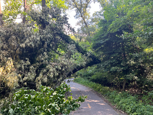 Recreation Center «Rosedale Recreation Center», reviews and photos, 1701 Gales St NE, Washington, DC 20002, USA