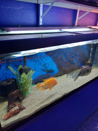 Tropical Fish Store «Tropi-Quatics Pet Center», reviews and photos, 337 S Main St, Lombard, IL 60148, USA