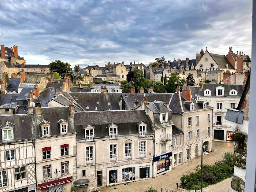 Un Séjour à Blois - Vue sur les toits de Blois à Blois (Loir-et-Cher 41)