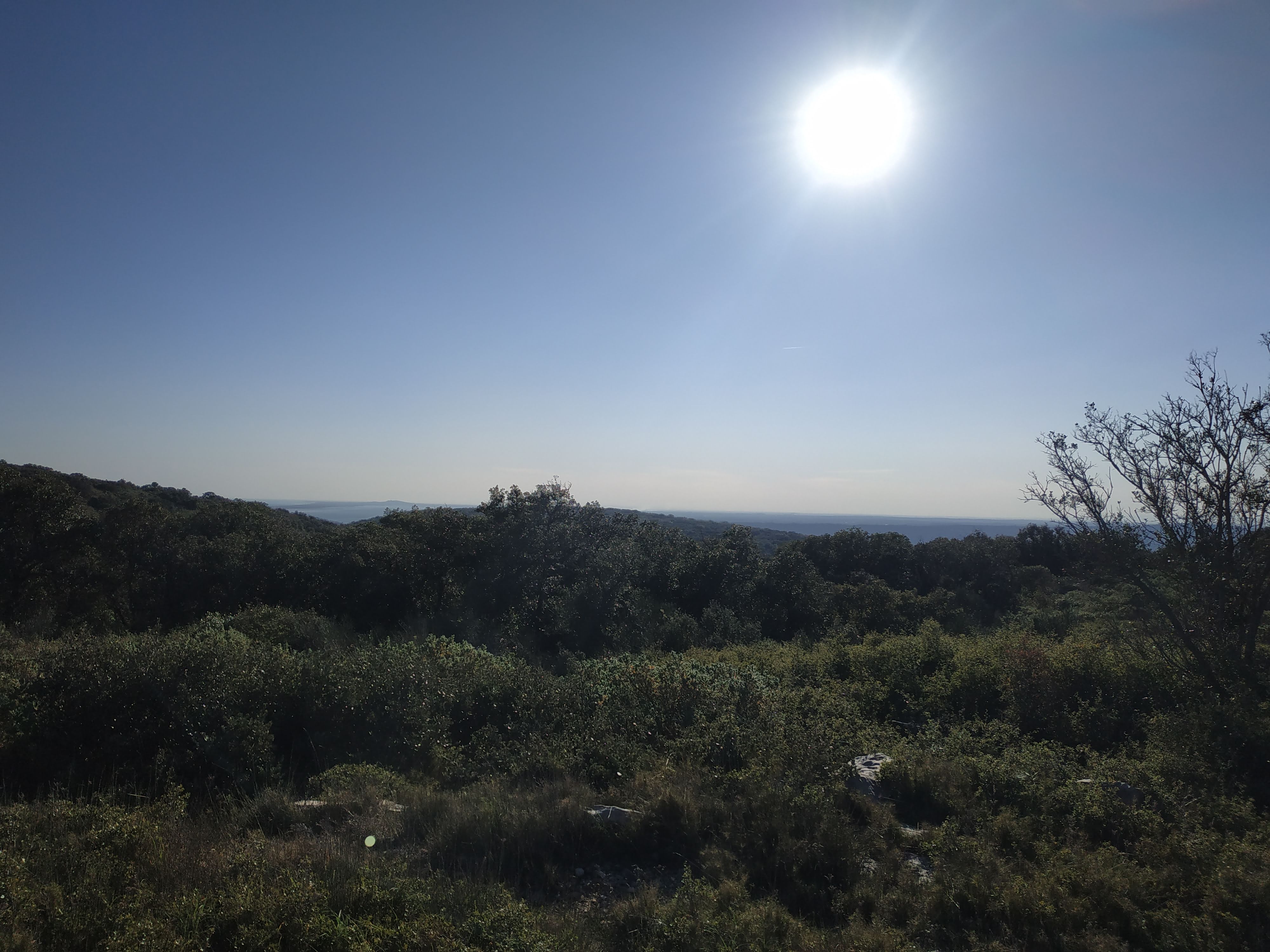 Photo n° 6 de l'avis de John.a fait le 23/03/2019 à 18:52
