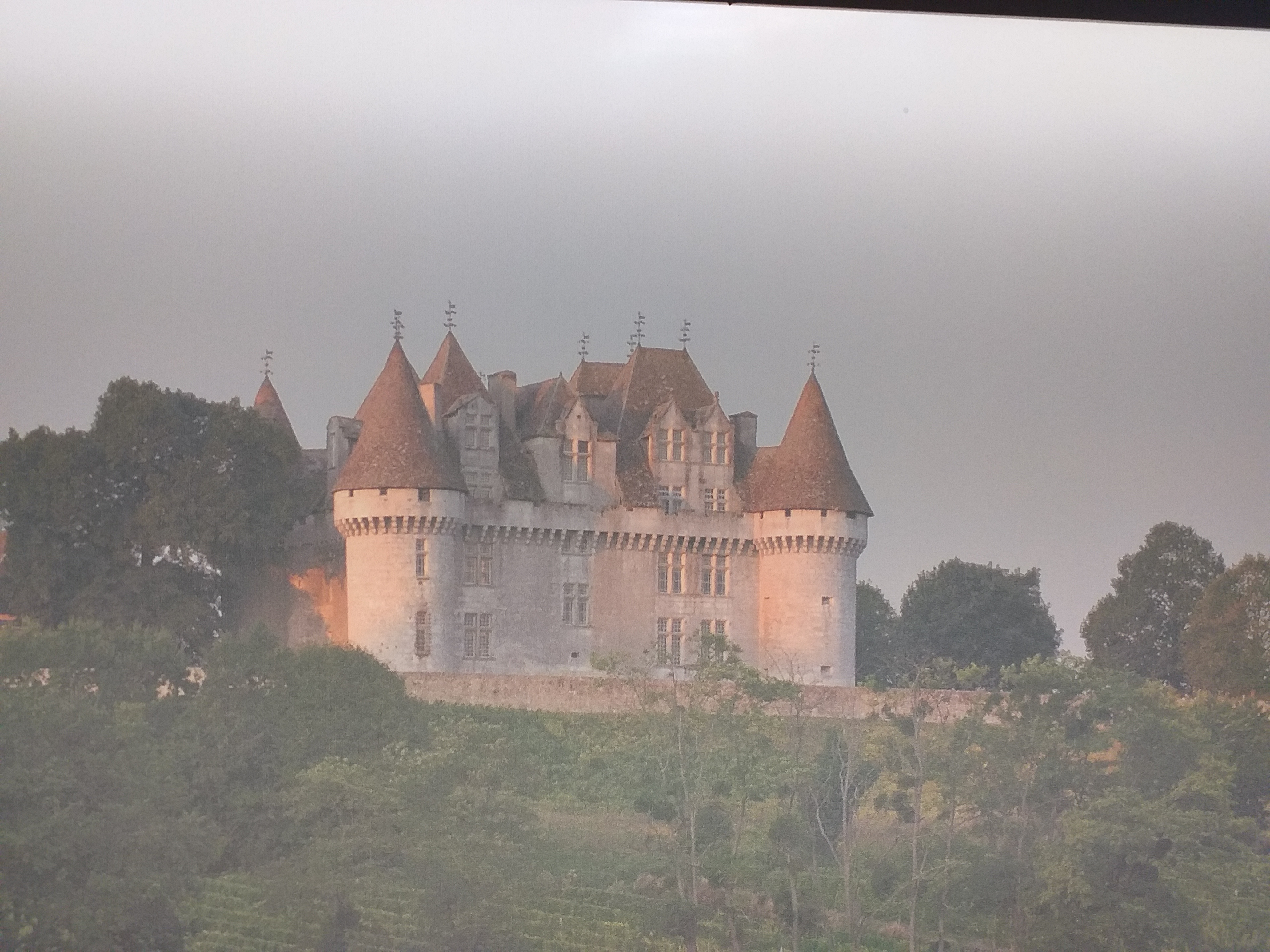 Photo n° 18 de l'avis de LIONEL.E fait le 19/09/2022 à 08:41