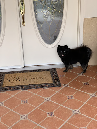 Pet Supply Store «PetSmart», reviews and photos, 2255 Pine Ridge Rd, Naples, FL 34109, USA