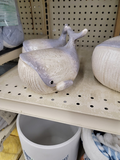 Discount Store «Big Lots», reviews and photos, 924 N Main St, Suffolk, VA 23434, USA