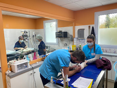 Clinique Vétérinaire du Sillon à Blain