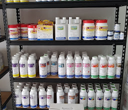 Arpagon Tecnocontrol de Plagas photo