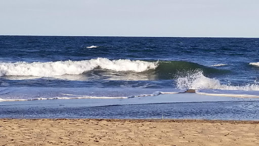 Army & Navy Surplus Shop «Navy Exchange-Dam Neck Annex», reviews and photos, 1977 Terrier Ave, Virginia Beach, VA 23461, USA