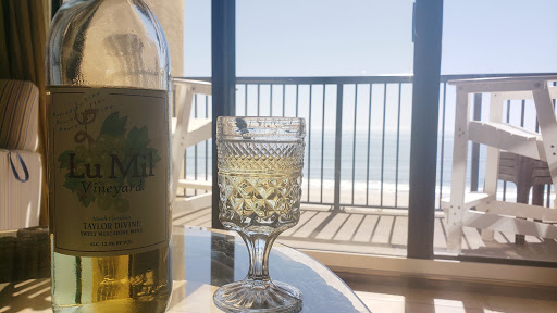 Vineyard «Lu Mil Vineyard», reviews and photos, 438 Suggs-Taylor Rd, Elizabethtown, NC 28337, USA