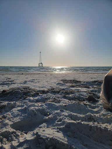 Explore small money tattoo ideas, creative tattoo ideas in Lakeland, available at Holy Grail Tattoo