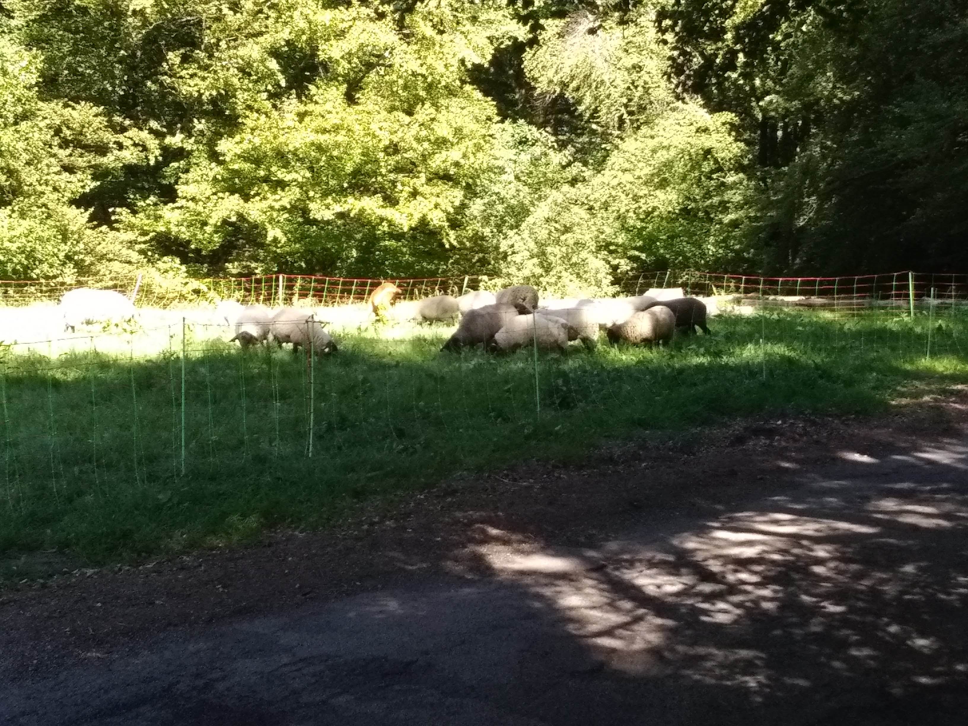 Photo n° 3 de l'avis de guerino.a fait le 28/09/2020 à 10:17