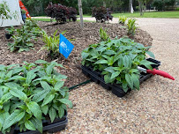 ABC Home & Commercial Services - Photo 4 - Car repair in Plano, TX, Plano