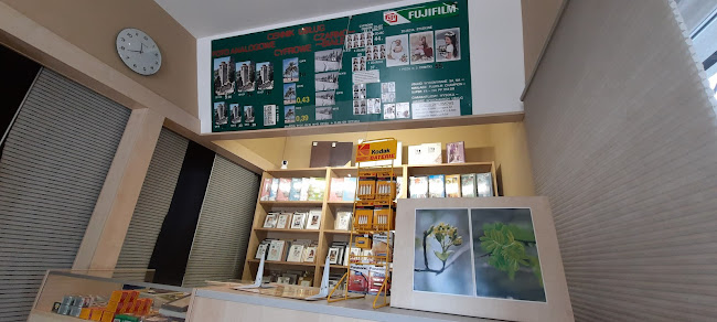 Piotrkowska 240, 90-360 Łódź