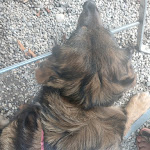 Photo n°2 de l'avis de Karin.e fait le 28/09/2023 à 12:17 sur le  Landgasthof Schwaiganger à Ohlstadt