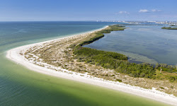 Shell Key Preserve